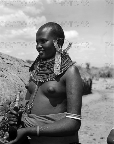 Portrait of a young Samburu woman. Portrait of a young semi-naked Samburu woman wearing elaborate jewellery. Her neck is adorned with a heavily beaded necklace and she wears striking, ornate earrings. Wamba, Kenya, 13 October 1956. Wamba, Rift Valley, Kenya, Eastern Africa, Africa.
