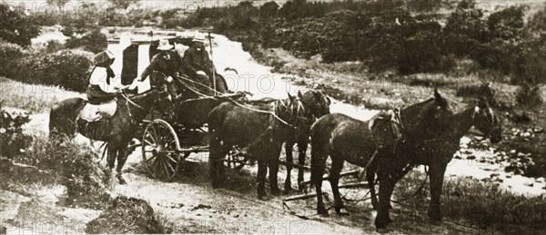 Royal Mail stage coach. The Royal Mail, delivering letters via horsedrawn stage coach in the rural districts of southern Australia. South Australia, 10 March-8 April 1924., South Australia, Australia, Australia, Oceania.