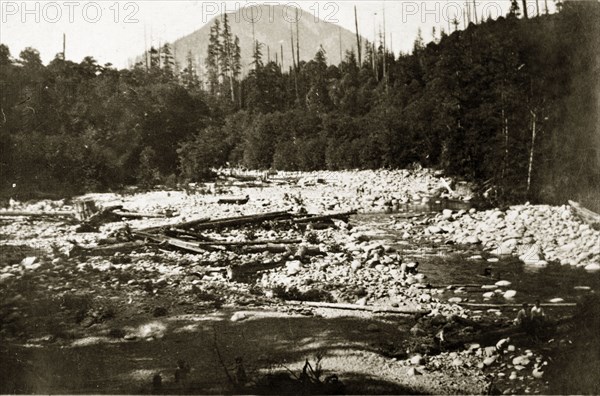 Lynn Valley, Vancouver. Logs litter the riverbed at Lynn Valley. Vancouver, Canada, 21 June-4 July 1924. Vancouver, British Columbia, Canada, North America, North America .