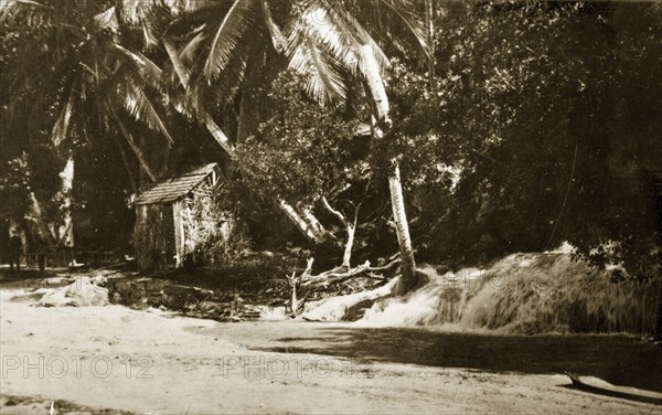 Typical Jamaican hut. A typical Jamaican hut sheltered by palm trees. Jamaica, 26-30 July 1924. Jamaica, Caribbean, North America .