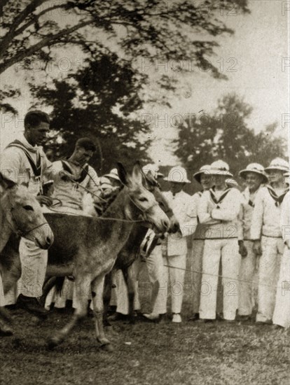 Donkey derby starting line. Uniformed sailors in the British Special Service Squadron entertain their shipmates as they ride donkeys in a derby race. Chapelton, Jamaica, 26-30 July 1924. Chapelton, Clarendon, Jamaica, Caribbean, North America .