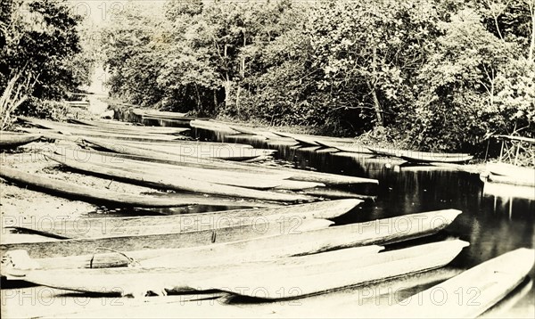 Traditional canoes, Western Africa. A flotilla of traditional dug-out wooden canoes. Western Africa, circa 1920., Western Africa, Africa.
