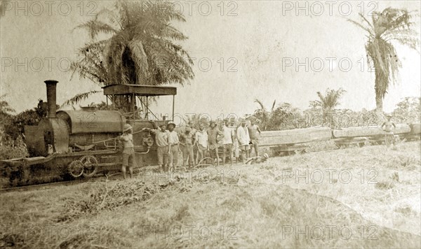 Transporting timber, Western Africa. Mahogany timber is transported along the coast on railway trucks pulled by a small steam engine. Western Africa, circa 1918., Western Africa, Africa.