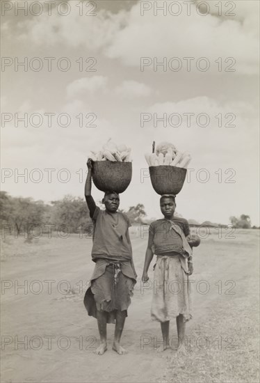 Transporting vegetables. A man and a woman walk along a dusty road balancing baskets full of harvested vegetables on their heads. The woman carries a baby in a sling tied across her shoulder. Northern Rhodesia (Zambia), circa 1952. Zambia, Southern Africa, Africa.