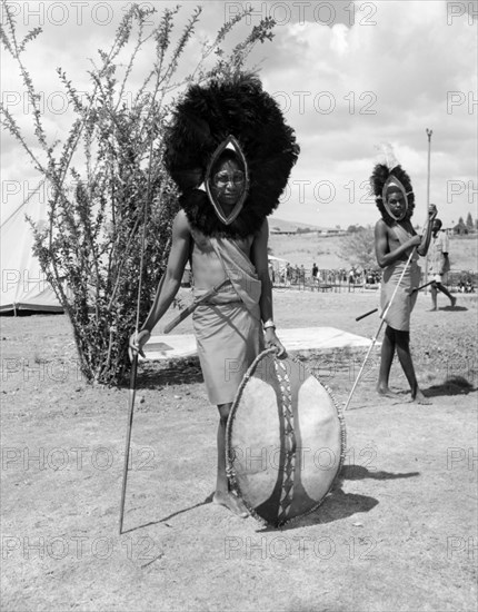 Portrait of a male Wakamba dancer. Portrait of a male Wakamba dancer wearing a large, mane-like headdress made from black feathers for Princess Margaret's visit. His face is painted and he holds a patterned shield and spear. Machakos, Kenya, 22 October 1956. Machakos, East (Kenya), Kenya, Eastern Africa, Africa.