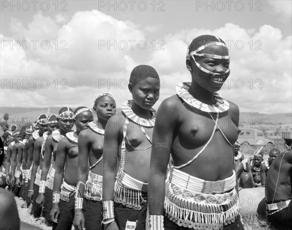 Female Wakamba dancers in line. A long line of semi-naked female Wakamba dancers face the camera, each wearing ceremonial dress for Princess Margaret's visit. Each girl wears elaborate jewellery including beaded belts, necklaces and headbands. Kenya, 22 October 1956. Machakos, East (Kenya), Kenya, Eastern Africa, Africa.