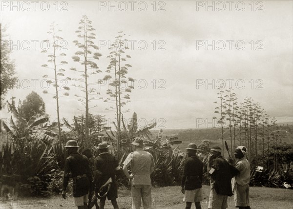 A farmer's Home Guard. Six men, their backs to the camera, look out towards the forest in search of Mau Mau fighters. The two uniformed men on the left are from the Kenya Police, the European man in the middle is the district officer and the three men on the right are Kikuyu Home Guards. Kenya, circa 1952. Kenya, Eastern Africa, Africa.
