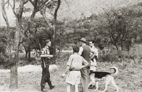 Farmers form a Home Guard patrol. European farmers, armed with rifles and dogs, meet for a Home Guard patrol across thick bush in search of Mau Mau gangsters in hiding. Rift Valley, Kenya, circa 1953., Rift Valley, Kenya, Eastern Africa, Africa.