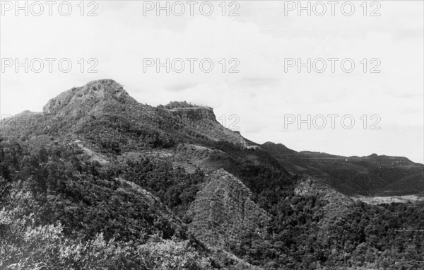 Typical Mau Mau country. Landscape typical of the highlands surrounding Mount Kenya. Forested with dense scrubland, this terrain afforded Mau Mau fighters the cover they needed to elude the opposition and plan their attacks. Central Kenya, circa 1955., Central (Kenya), Kenya, Eastern Africa, Africa.