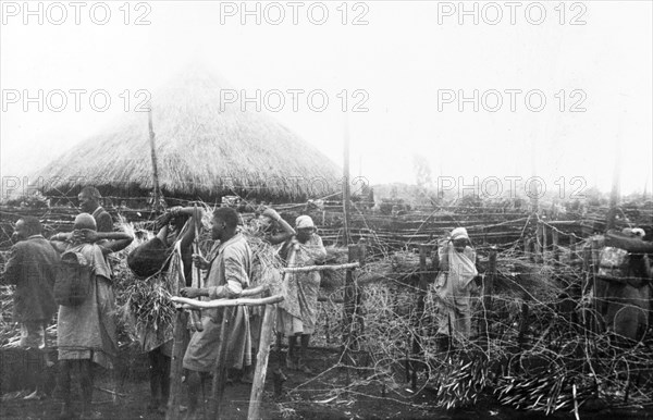 Kikuyu fortified village. Women line up to enter a heavily fortified village past Kikuyu Home Guards. Kenya, circa 1955. Kenya, Eastern Africa, Africa.