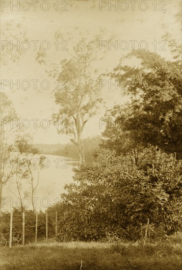 View of the Brisbane river at Witton. View from a hillside of the Brisbane river at Witton, today known as Indooroopilly. Indooroopilly, Australia, circa 1890. Indooroopilly, Queensland, Australia, Australia, Oceania.