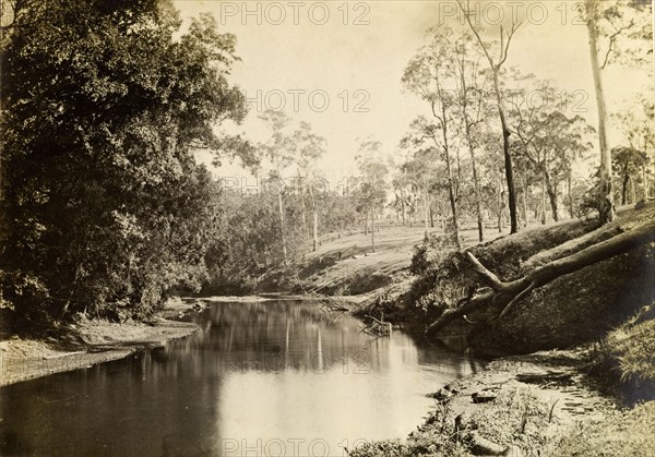 Rafting ground at Moggill creek. A rafting ground at Moggill creek used by loggers to float timber downstream to sawmills such as Pettigrews in Brisbane. Brookfield, Australia, circa 1890., Queensland, Australia, Australia, Oceania.