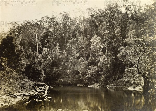 Moggill creek, Australia. A bend in the river at Moggill creek located in the outback surrounding Brisbane. Queensland, Australia, circa 1890., Queensland, Australia, Australia, Oceania.