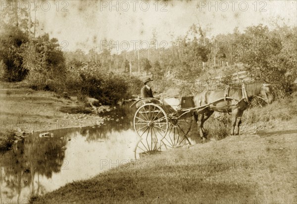 Horse-drawn buggy in the outback. A man in a bowler hat drives a two-wheeled horse-drawn buggy across a shallow stream in the outback. Queensland, Australia, circa 1890., Queensland, Australia, Australia, Oceania.