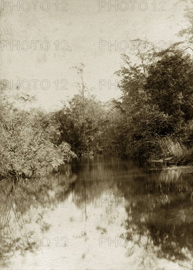 Moggill creek, Australia. A peaceful stretch of river in the outback at Moggill creek. Queensland, Australia, circa 1890., Queensland, Australia, Australia, Oceania.