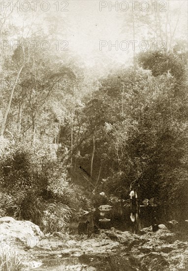 Standing in Moggill creek, Australia. A man stoops, knee-high in water, over a shallow point in the river at Moggill creek. Brookfield, Australia, circa 1890. Brookfield, Queensland, Australia, Australia, Oceania.