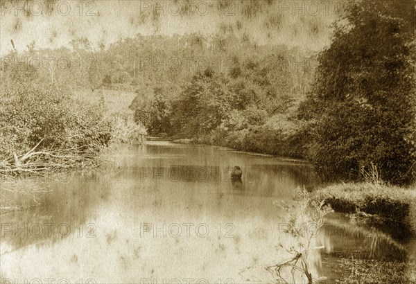 Gold creek, Australia. A lone rock breaks the surface of the still water at Gold creek as it meanders towards the Brisbane river. Queensland, Australia, circa 1890., Queensland, Australia, Australia, Oceania.