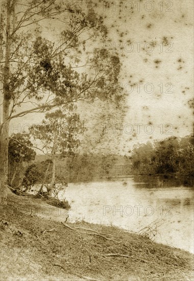 The Brisbane river at Wolstan. View from the riverbank of a peaceful section of the Brisbane river near Goodna. Wolstan, Australia, circa 1890. Wolstan, Queensland, Australia, Australia, Oceania.