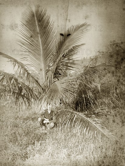 Goosey' hides under a palm. Evan 'Goosey' Pughe crouches under a large palm plant, his face partially hidden by leaves, in the outback near his home. Queensland, Australia, circa 1908., Queensland, Australia, Australia, Oceania.