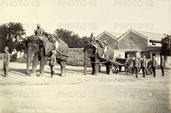 Battery division elephants. Two elephants working in the heavy battery division of the Royal Artillery pull a cart loaded with a carriage-mounted siege gun. India, circa 1895. India, Southern Asia, Asia.