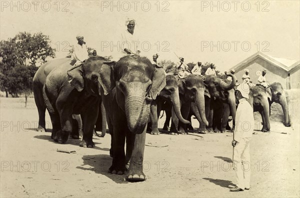 Marching off in file. Mahouts (elephant handlers) riding elephants in the heavy battery division of the Royal Artillery direct their animals to march, filing past a British officer dressed all in white. India, circa 1895. India, Southern Asia, Asia.