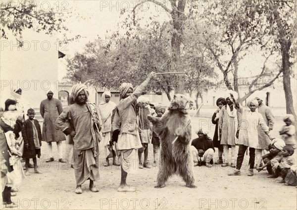 Dancing bear performance. An Indian bear handler holds up a stick to make his trained bear 'dance' for a crowd of onlookers. India, circa 1895. India, Southern Asia, Asia.