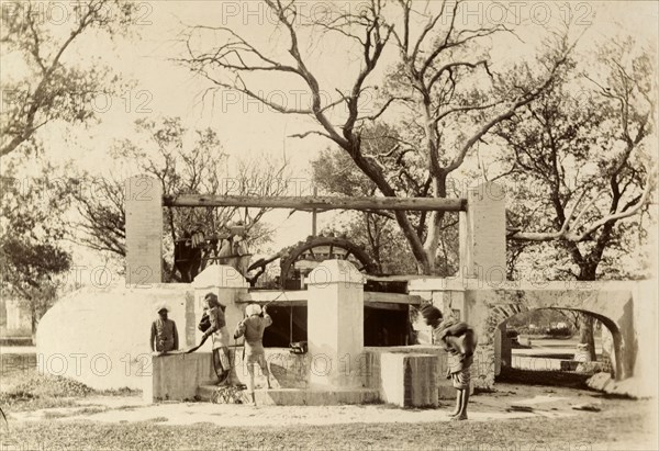 An Indian 'bheesti' visits the well. An Indian 'bheesti' or water carrier hauls a heavy bag of water onto his back at a large, cattle-driven well. India, circa 1895. India, Southern Asia, Asia.