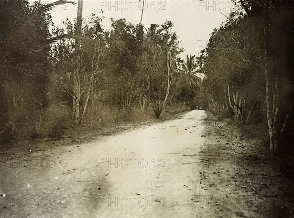 The road to Kampala. The 'road to Kampala', a track surrounded by trees leads away into the distance. Uganda, 1906. Uganda, Eastern Africa, Africa.