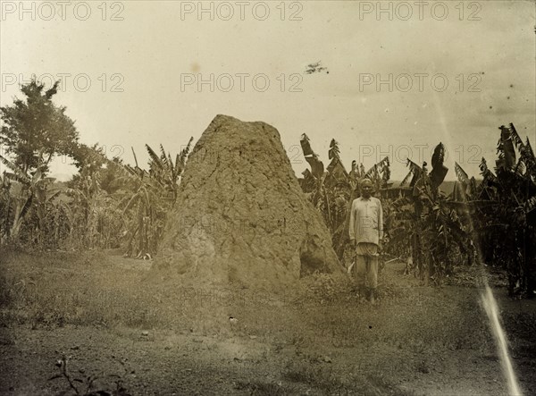 Ant hill, Uganda. A man poses for the camera next to a giant ant hill in the countryside. Uganda, 1906. Uganda, Eastern Africa, Africa.