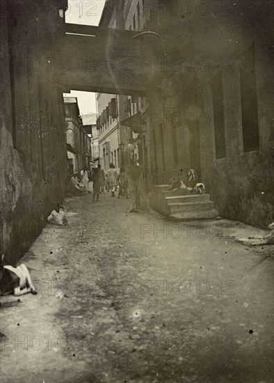 Zanzibar back street. A walkway crosses an unkempt, shady back street occupied by people and goats in the centre of Zanzibar. Zanzibar (Tanzania), 1906. Zanzibar Town, Zanzibar Urban/West, Tanzania, Eastern Africa, Africa.