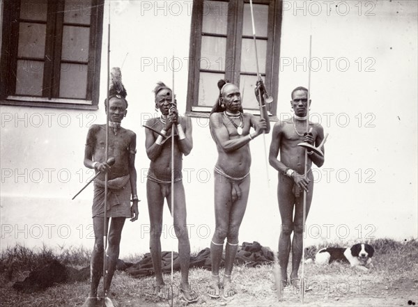 Four Turkana warriors. Four nearly naked Turkana men wearing headdresses pose for the camera, staffs in hand. British East Africa (Kenya), 1906. Kenya, Eastern Africa, Africa.