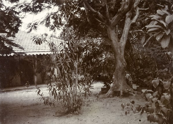 Resthouse at Nakuru. The doorway of a single storey building seen through trees, identified in the original caption as a 'resthouse'. Nakuru, British East Africa (Kenya), 1906. Nakuru, Rift Valley, Kenya, Eastern Africa, Africa.