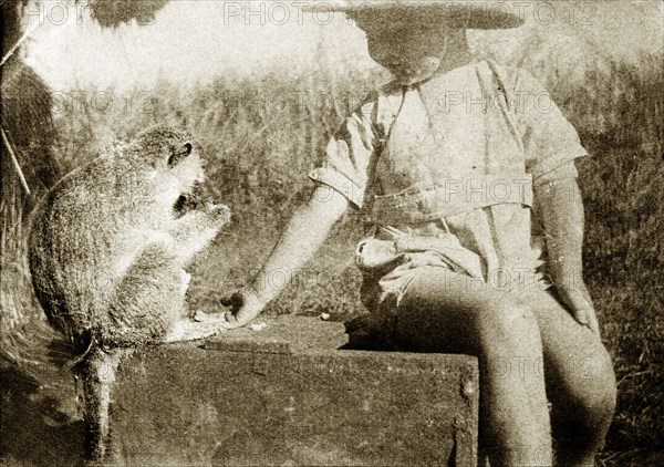 Charlie Trotter feeds Marmaduke. A thoughtful Charles Trotter, aged around five years old, sports a solatopi hat as he feeds his pet Vervet monkey 'Marmaduke' by hand. Uganda, circa 1927. Uganda, Eastern Africa, Africa.