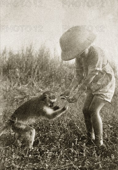 Charlie Trotter and Marmaduke. A young Charles Trotter, aged around five years, wears a solatopi hat as he plays outdoors with his pet Vervet monkey, 'Marmaduke'. Uganda, circa 1927. Uganda, Eastern Africa, Africa.