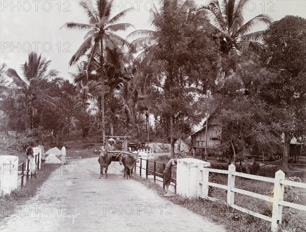 Batu village near Kuala Lumpur. A cart is pulled along the road by two bullocks outside a Batu village. The original caption identifies the people in the image to be of various nationalities: a Javanese cart driver, a Tamil passenger and a Malay man leaning on the railings to the left. Near Kuala Lumpur, British Malaya (Malaysia), circa 1900., Kuala Lumpur, Malaysia, South East Asia, Asia.