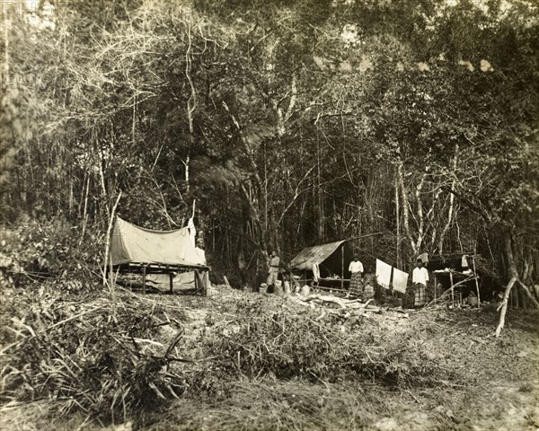 Trigonometrical survey camp at Tali Kail. Trigonometrical survey camp at Tali Kail. Near Gerik, British Malaya (Malaysia), circa 1901. Gerik, Perak, Malaysia, South East Asia, Asia.
