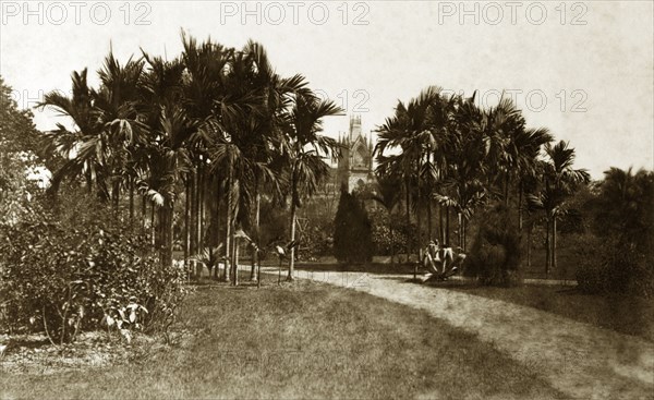 View from Eden Gardens. One of the towers belonging to the High Court of Calcutta (Kolkata) peeps through the trees at Eden Gardens. Calcutta (Kolkata), India, circa 1890. Kolkata, West Bengal, India, Southern Asia, Asia.