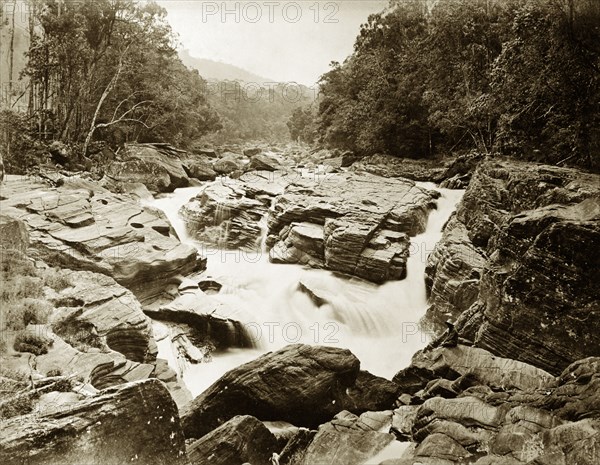 Jungle rapids, Ceylon. A slow exposure photograph of rapids on the Maskeliya River. Ceylon (Sri Lanka), circa 1885., Central (Sri Lanka), Sri Lanka, Southern Asia, Asia.