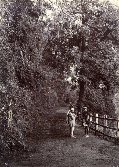 Road in Mussoorie, India. Two men chat on a roadside surrounded by tall trees at a mountain hill station. Mussoorie, India, circa 1890. Mussoorie, Uttaranchal, India, Southern Asia, Asia.