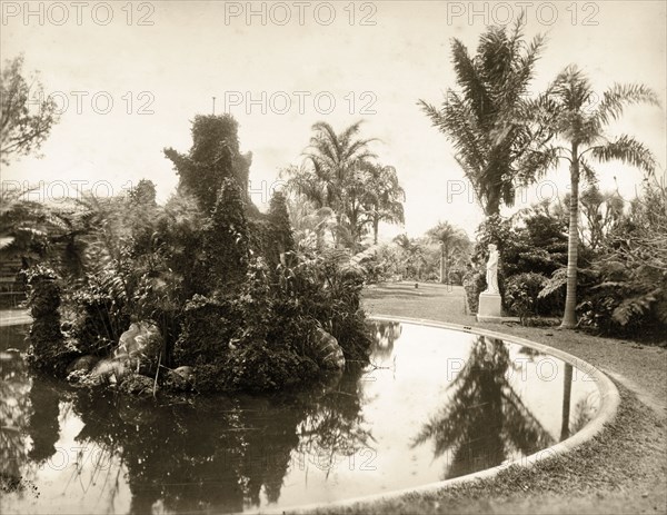 Water feature, Brisbane. A pool decorated with an ivy-clad water feature, probably the Brisbane Botanical Gardens. Brisbane, Australia, circa 1890. Brisbane, Queensland, Australia, Australia, Oceania.