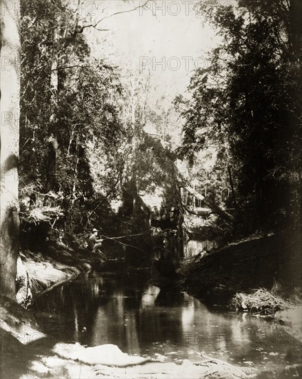Fishing in a creek. Two men squat on the banks of a creek in the outback, holding fishing rods made from branches out over the stream. Queensland, Australia, circa 1890., Queensland, Australia, Australia, Oceania.