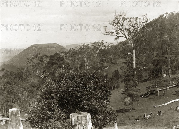 The Toowoomba range. The sloping hills of the range at Darling Downs. Toowoomba, Australia, circa 1890. Toowoomba, Queensland, Australia, Australia, Oceania.