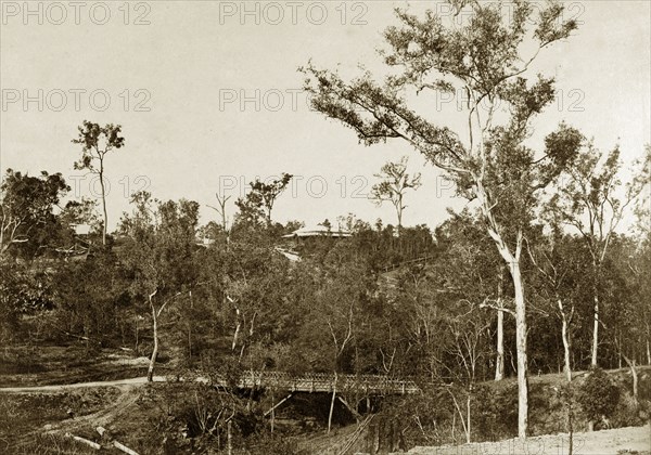 Colonial homestead, Queensland. Distant view of a colonial homestead on a rise, glimpsed through eucalyptus trees. Probably in the Darling Downs, Queensland, Australia, circa 1890., Queensland, Australia, Australia, Oceania.