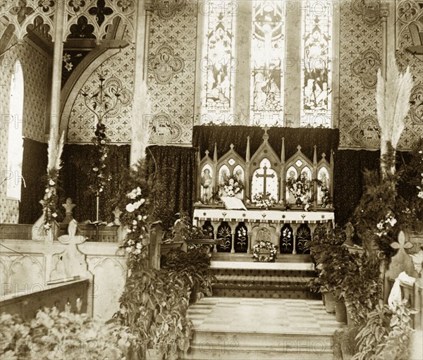 Altar at St James' Church. View of the altar at St James' Church. The church has a neo-Gothic interior and is profusely decorated with flowers and potted plants. It was almost certainly taken for the wedding of Ellen May Brodribb to the Reverend Thomas St John Parry Pughe. Toowoomba, Australia, 1888. 
The church has a neo-Gothic interior and is profusely decorated with flowers and potted plants. The photograph was almost certainly taken on the occasion of the wedding in 1888 of Ellen May Brodribb to the Reverend Thomas St John Parry Pughe (1863-1938). It comes from an album assembled by Ellen Pughe and is pasted in below her wedding photograph. Toowoomba, Queensland, Australia, Australia, Oceania.