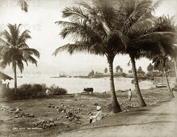 The harbour at Port Blair. A quiet harbourside scene at Port Blair. Andaman Islands, India, circa 1895. Port Blair, Andaman and Nicobar Islands, India, Southern Asia, Asia.