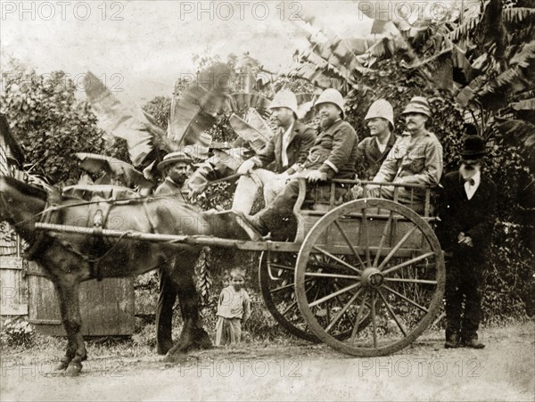 British officials seated in a horse and cart. Four European men in solatopis are seated in a high, two-wheeled cart, hitched to a single horse. Two other men, one of African or Asian descent, stand by the cart. A small boy peers underneath the cart against a backdrop of banana palms. Mauritius or Reunion, 1897., Indian Ocean, Africa.