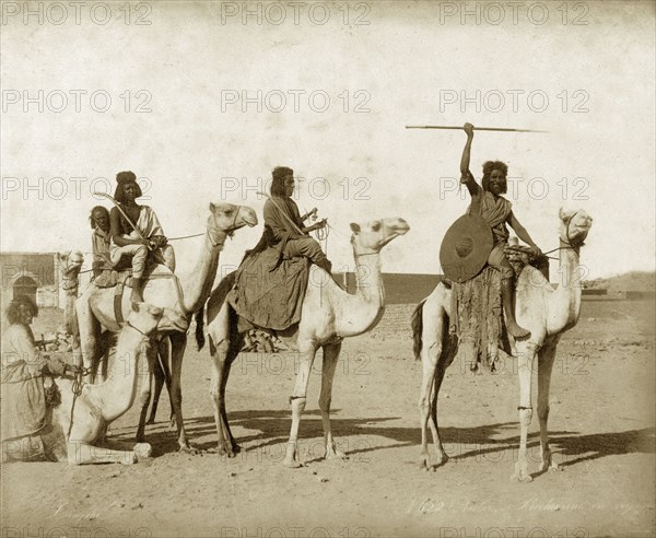 Bisharin men on camels. Five Bisharin men armed with swords, spears and shields pose seated on their camels, one of which is sitting down. Probably Sudan, North Africa, circa 1885. Sudan, Eastern Africa, Africa.