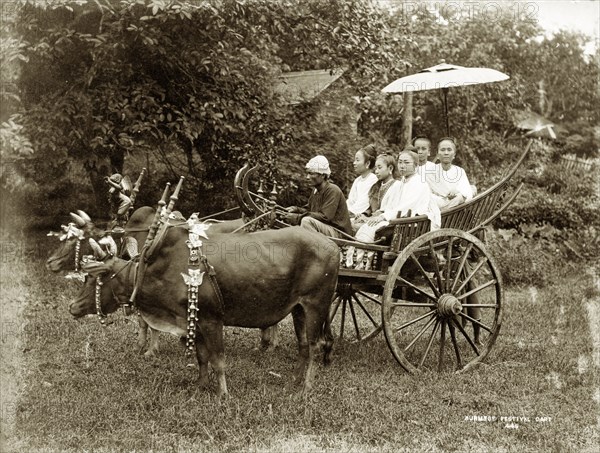 Burmese festival cart. Two humped bullocks stand together, fastened by a spiked wooden yoke to a two-wheeled cart. Five well-dressed Burmans with a parasol are seated in the cart, a driver perched in front of them. The bullocks wear garlands of bells or similar metal decorations. Burma (Myanmar), circa 1885. Burma (Myanmar), South East Asia, Asia.