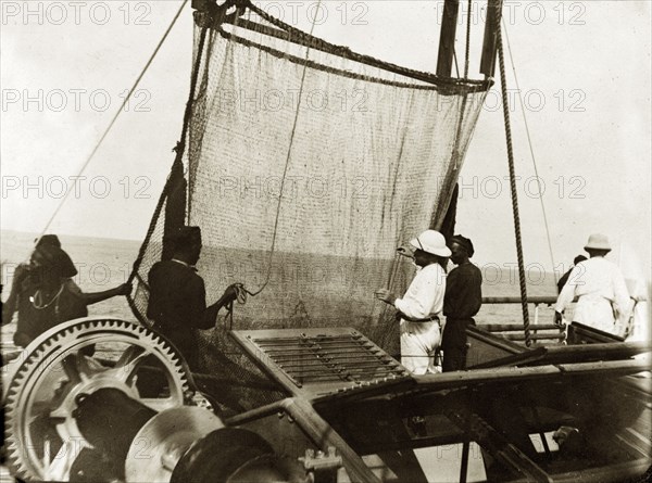 Trawler nets on RIMS 'Investigator'. Officers aboard RIMS 'Investigator' prepare a deep sea trawler net to be lowered from side of the ship. Indian Ocean, circa 1900., Southern Asia, Asia.
