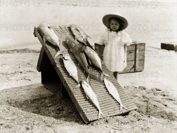 Fish caught at Ross Island. A young girl stands on a beach beside a board displaying exotic fish caught by her father. Ross Island, India, 1908. Ross Island, Andaman and Nicobar Islands, India, Southern Asia, Asia.